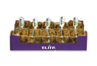 aktinidia_packaging_elita_2023_4-400x272