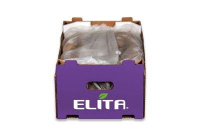 aktinidia_packaging_elita_2023_6-400x272
