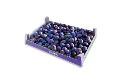 damaskina_packaging_elita_2023_1-400x272