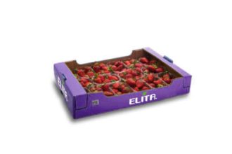 fraoula_packaging_elita_2023_3-400x267