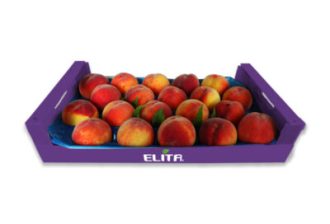 rodakina_packaging_elita_2023_1-400x272